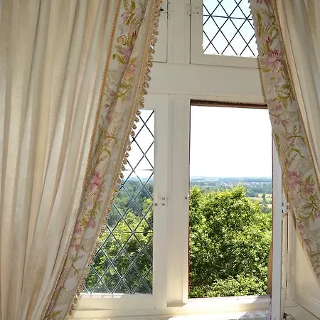 Chateau De Peufeilhoux לינה וארוחת בוקר 5*