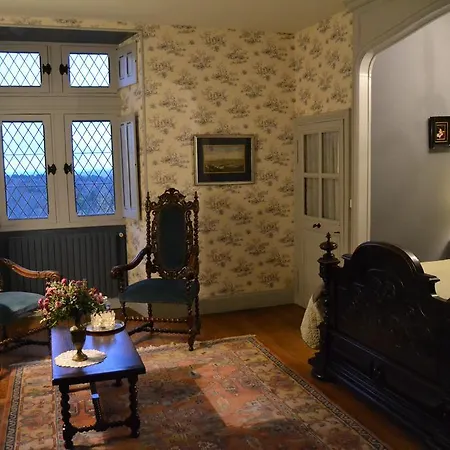 לינה וארוחת בוקר Chateau De Peufeilhoux