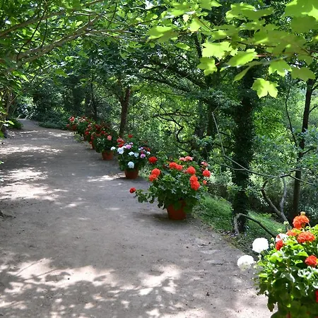 城堡佩费尔住宿加早餐旅馆 5*