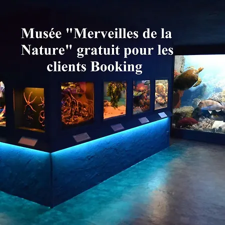 Chateau De Peufeilhoux 5* Vallon-en-Sully