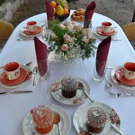 B&B Chateau De Peufeilhoux 5*