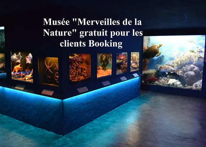 Chateau De Peufeilhoux 5* Vallon-en-Sully