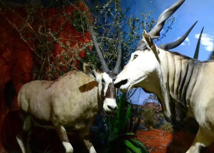 Bed & Breakfast Chateau De Peufeilhoux