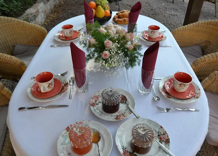 Bed & Breakfast Chateau De Peufeilhoux 5*